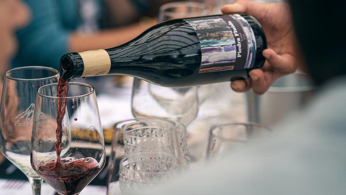 Camino a Frontones, donde nacen algunos de los vinos de la bodega.