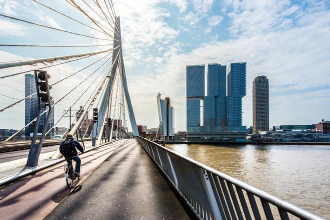 Erasmusbrug o el Puente Erasmus, Rotterdam