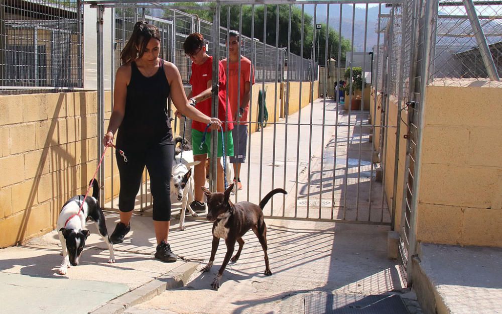 Visita a la Protectora de Animales y Plantas de Málaga