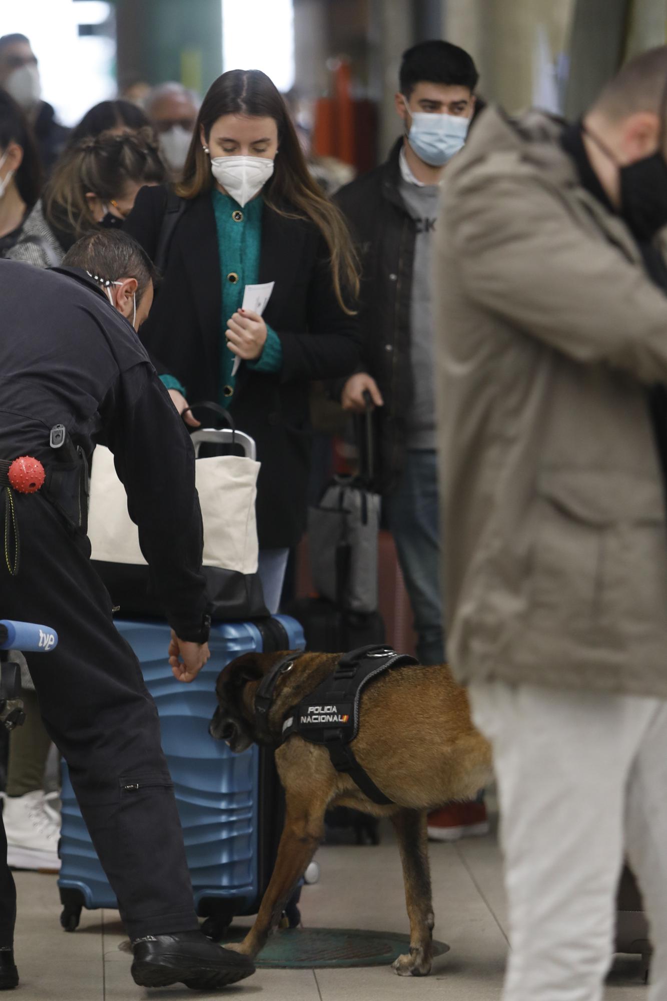 Controles policiales en la estación de Oviedo como antesala a la Semana Santa