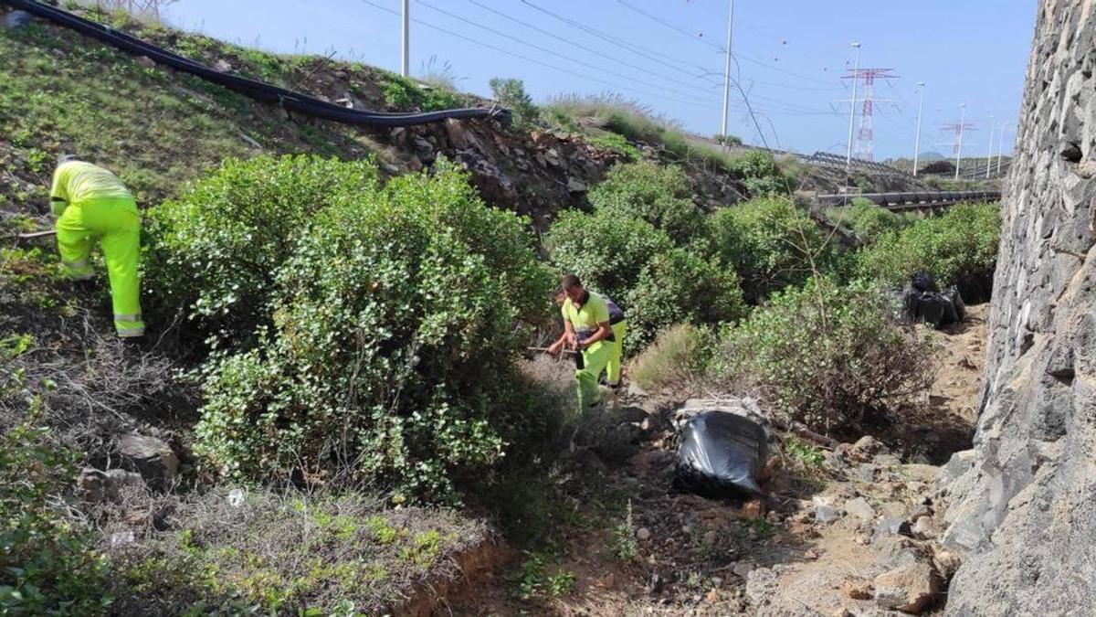 Varios trabajadores del Cabildo en acción