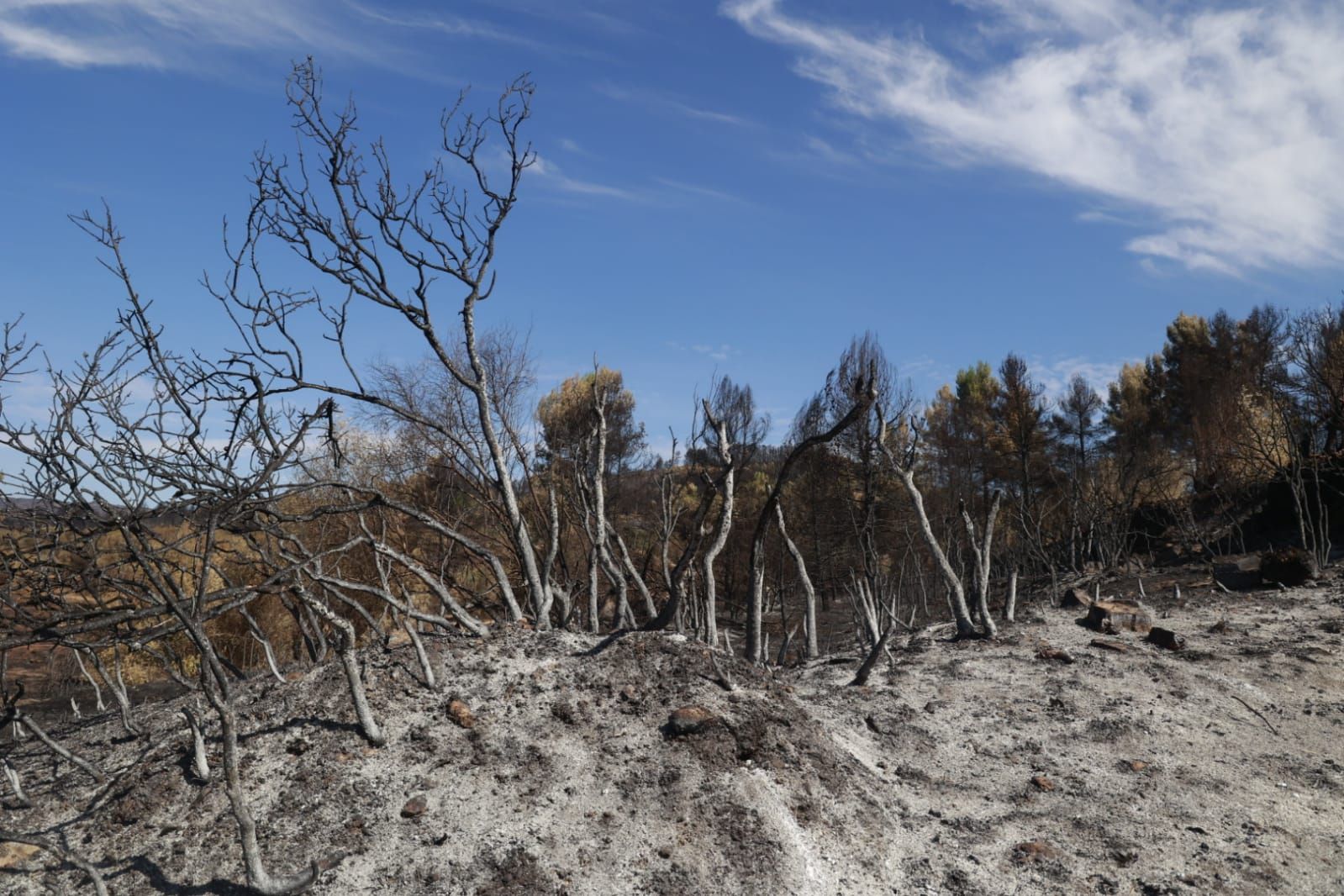 Las consecuencias del incendio de Bejís en Teresa