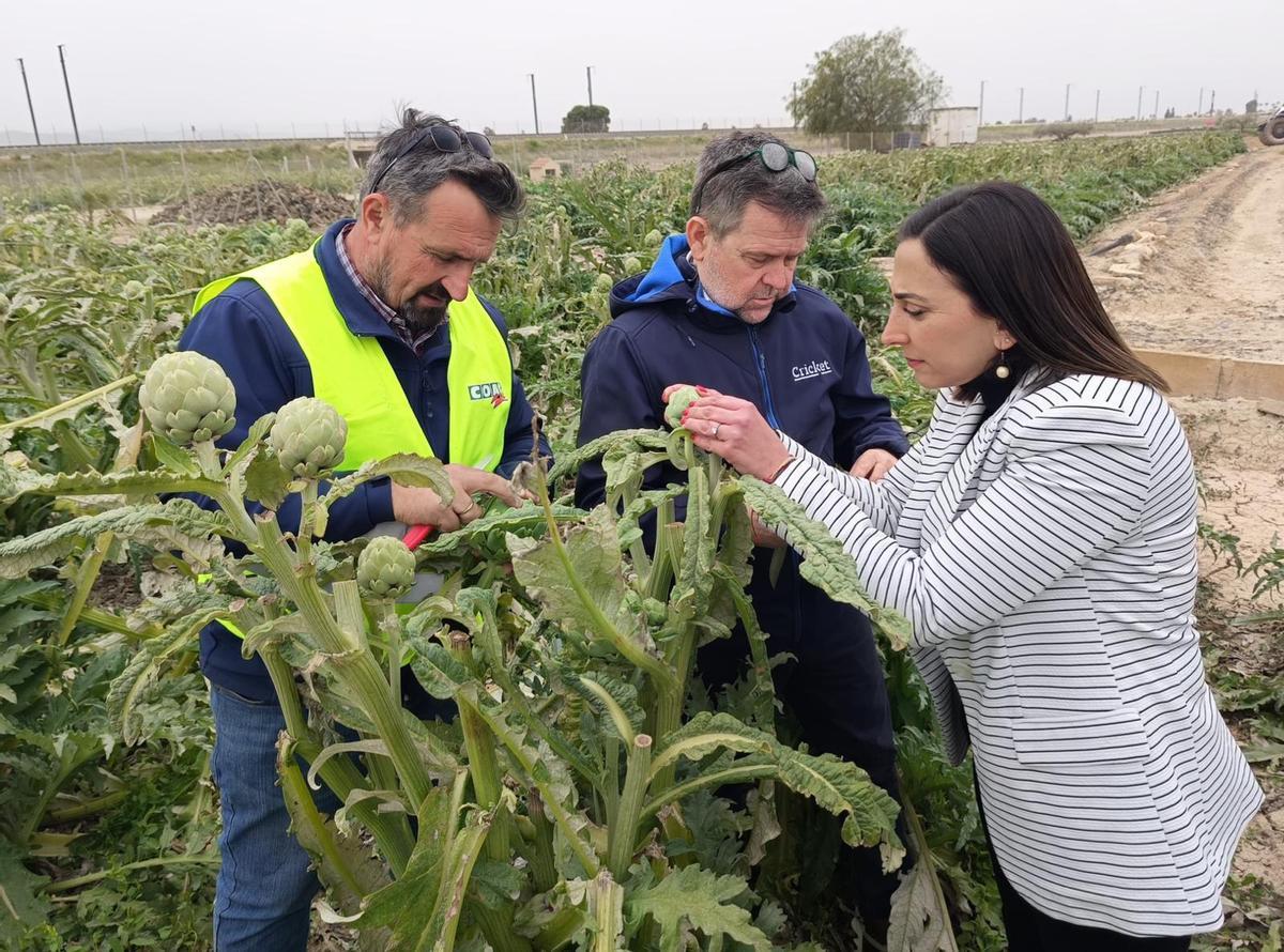 La consejera Sara Rubira ha visitado este miércoles los cultivos afectados por el pulgón en el Valle del Guadalentín.