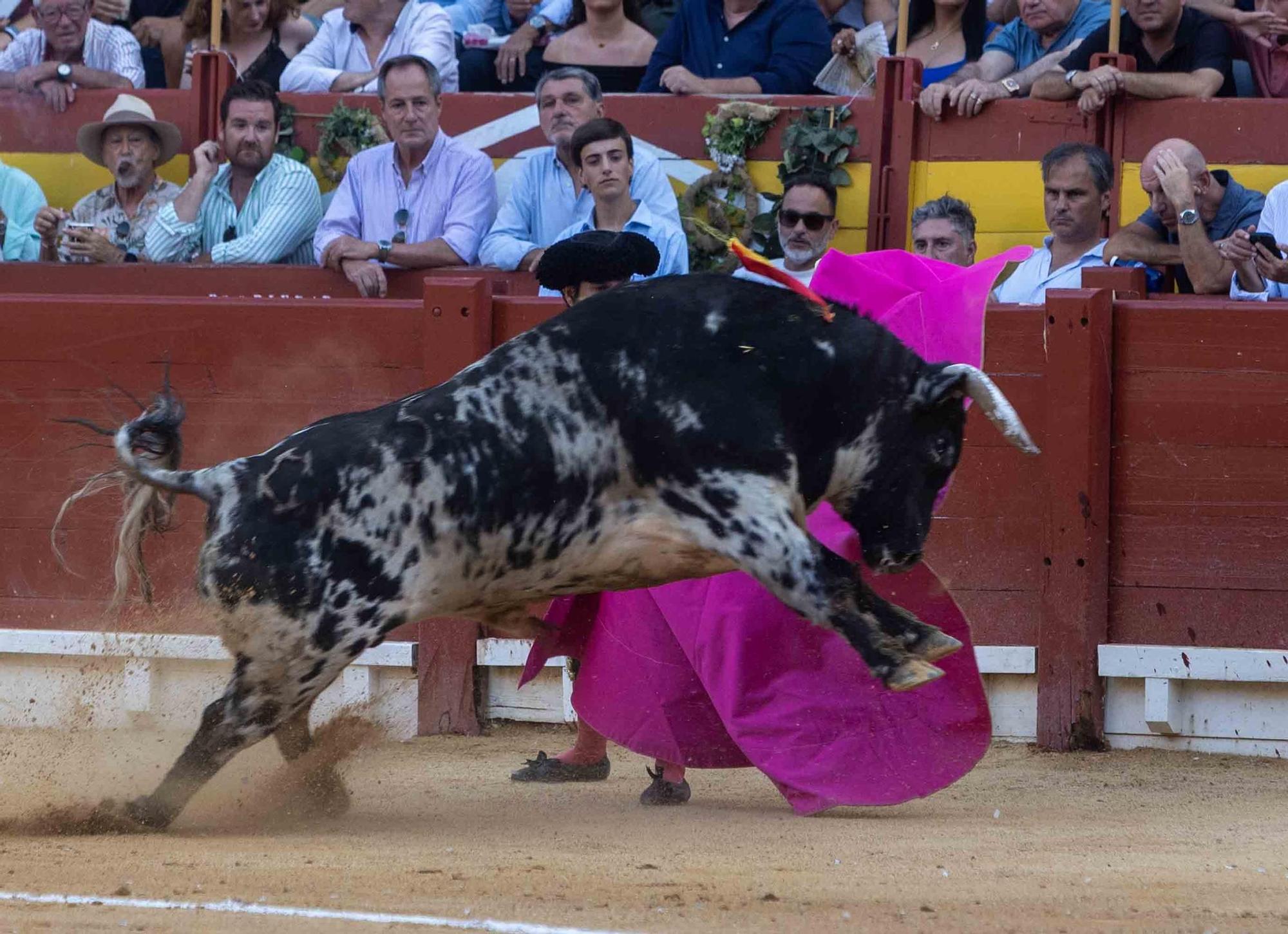 Manzanares culmina una de sus mejores tardes y sale a hombros en la Feria de Hogueras de Alicante 2025