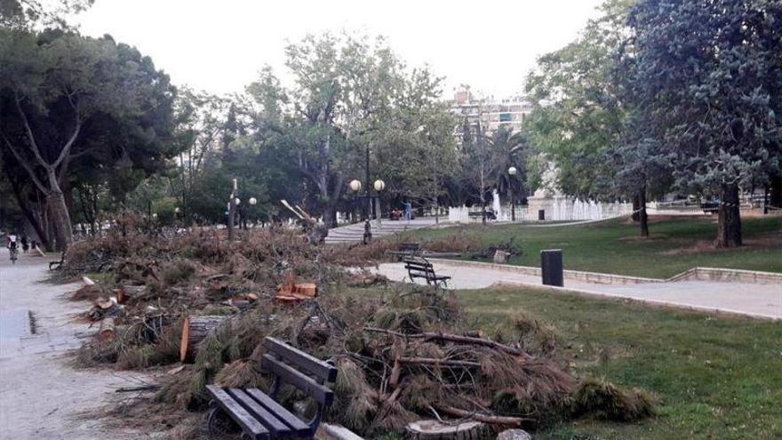 Zaragoza lleva casi dos semanas sin cuantificar los daños de la tormenta