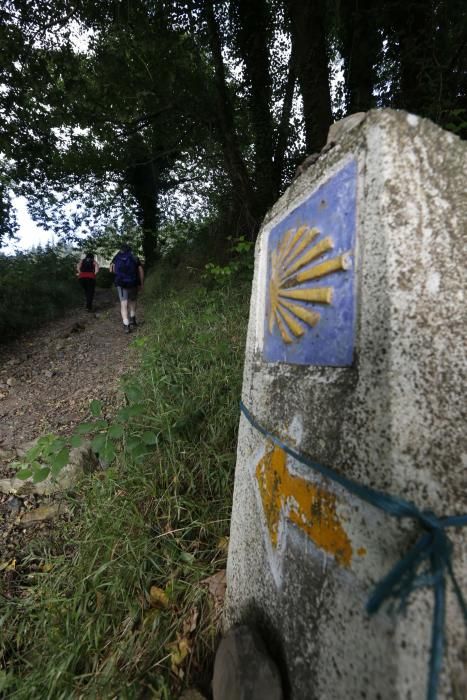 Camino de Santiago: Recorrido del camino primitivo por el tramo de los hospitales