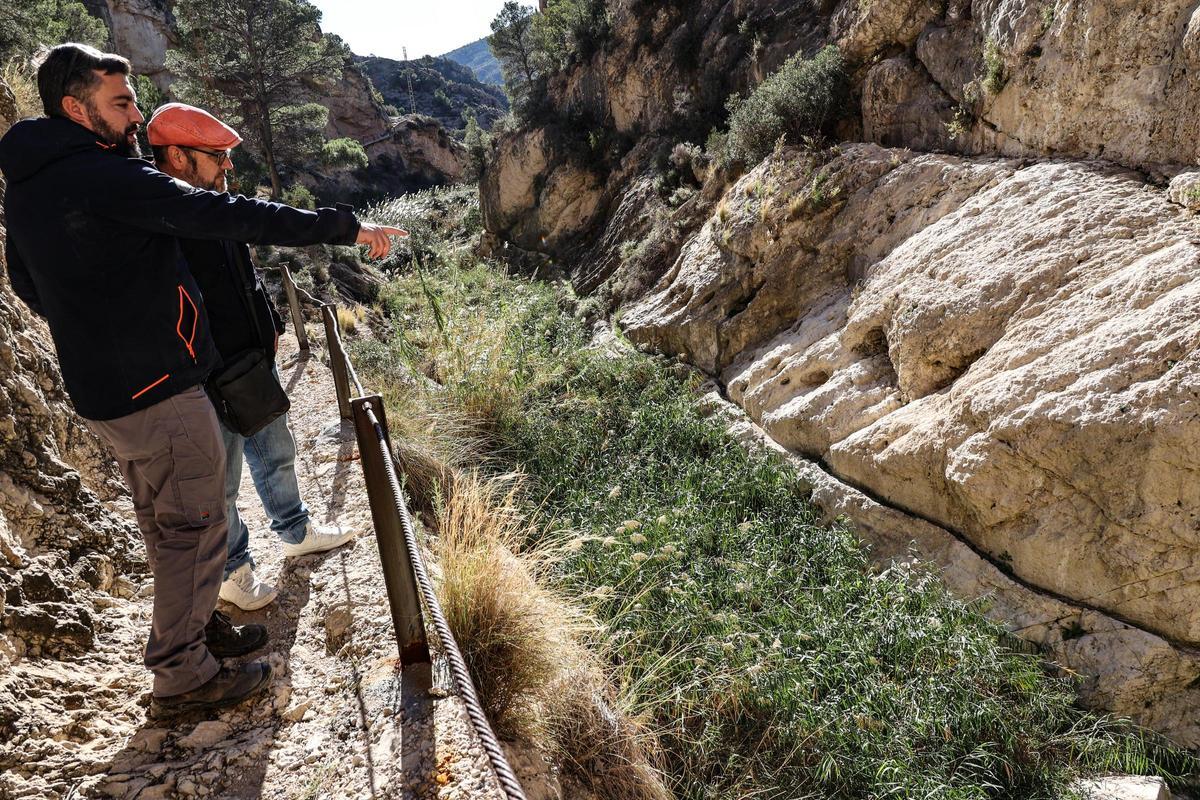 El cauce que parte del pantano hacia El Campello requiere de una limpieza