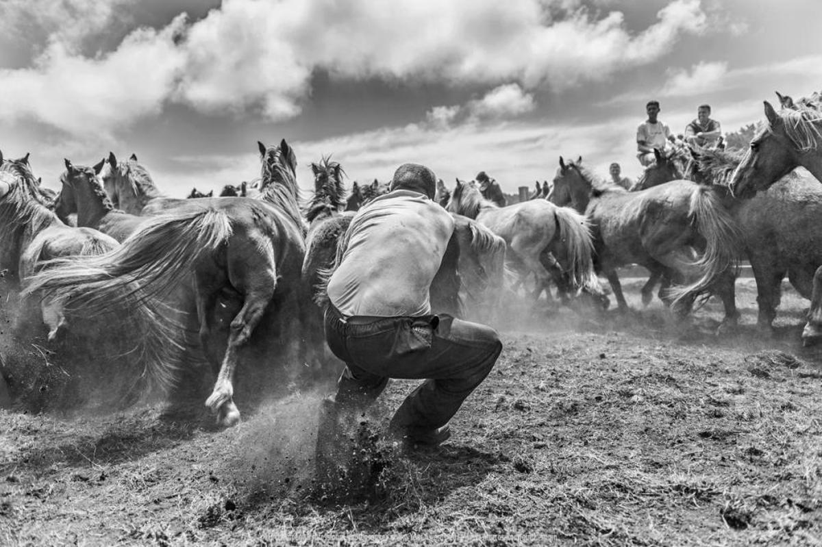 European Professional Photographer of the Year Awa