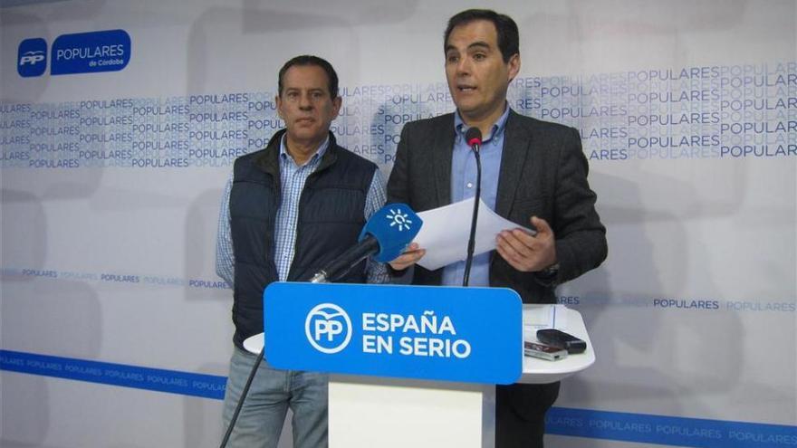 El PP pide que &quot;vuelva la sensatez&quot; al PSOE para no llegar a un gobierno con &quot;despropósitos&quot; como en Córdoba