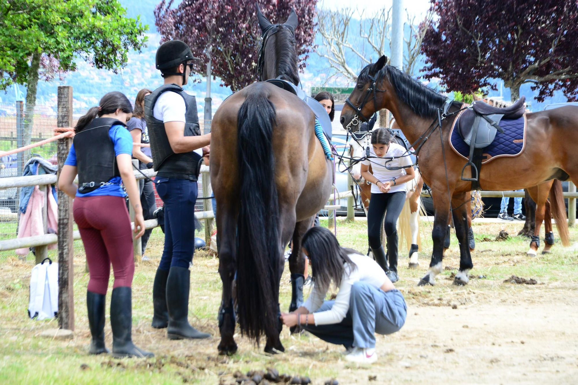 Más de 200 jinetes en la Xuntaza Cabalar de Moaña