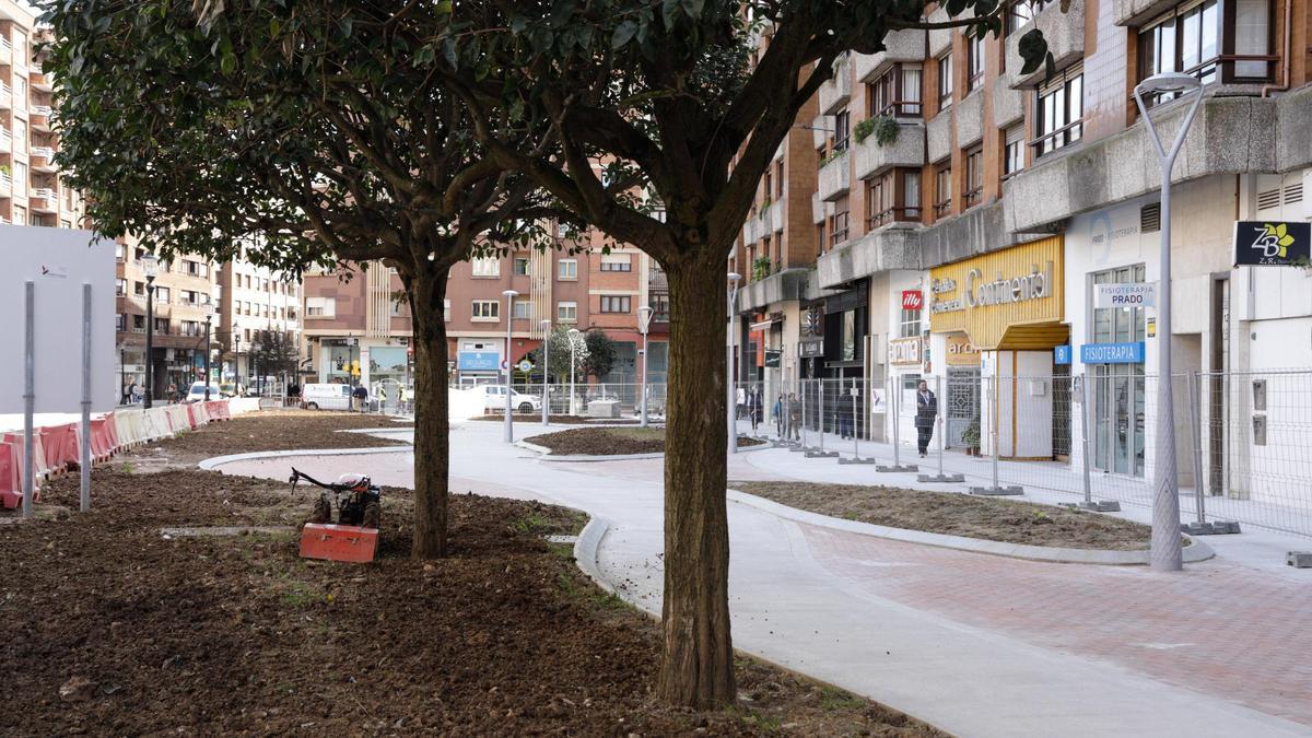Trabajos en los nuevos espacios verdes de la plaza de El Continental.