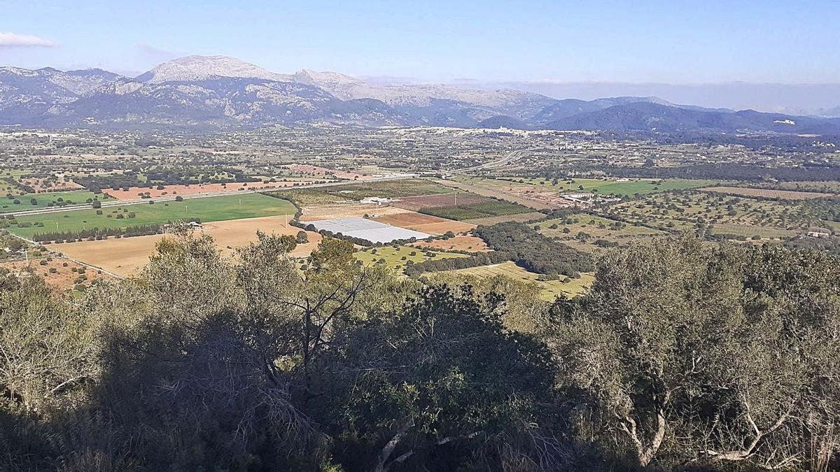 Los terrenos donde se proyectaba el parque de Ses Veles, desde el Puig de Santa Magdalena.