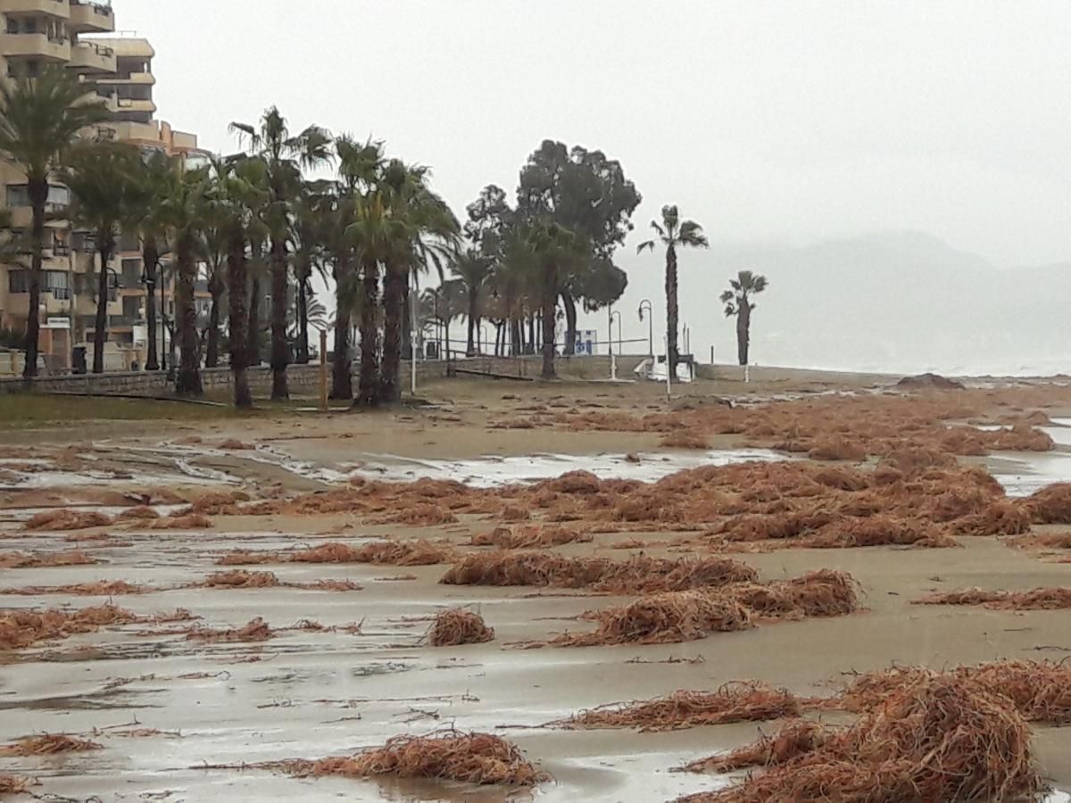 Temporal en Castellón