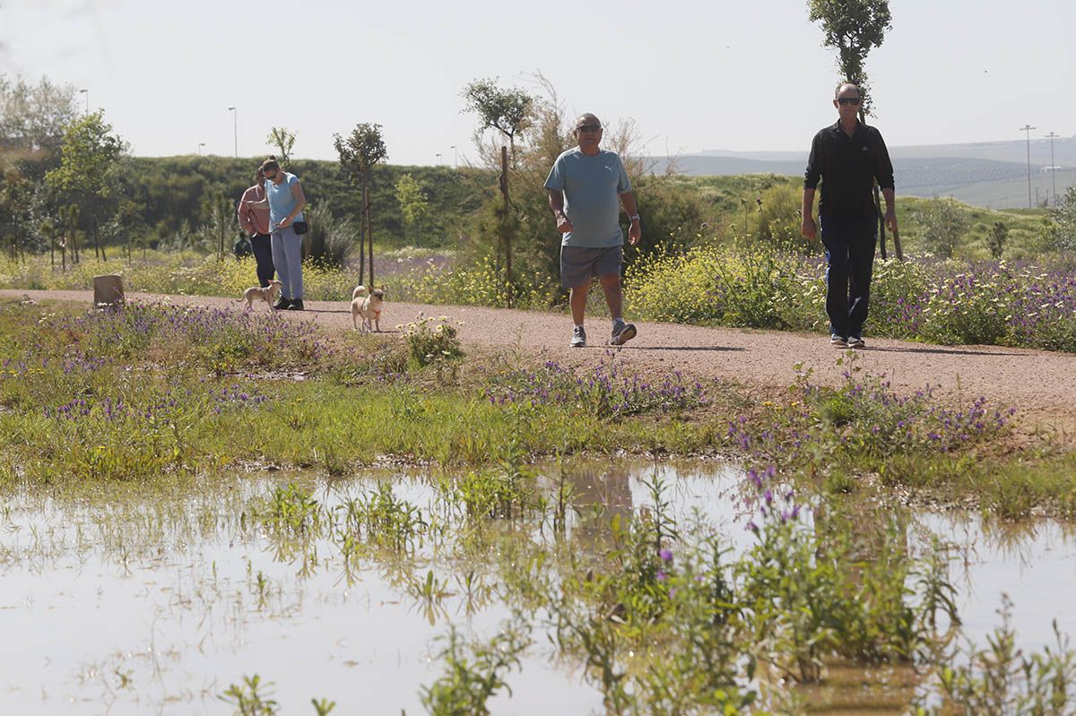 El Parque de Levante de Córdoba avanza en su finalización