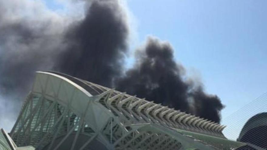 Vídeo: Incendi a l'Oceanogràfic de València