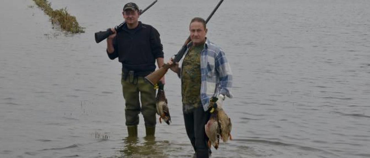 La ausencia de agua y frío mengua             la temporada de patos de l&#039;Albufera