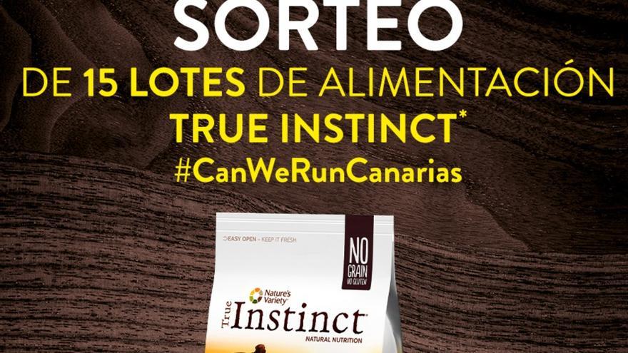 Participa en la carrera virtual Can We Run Canarias y gana premios para tu perro