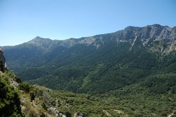 Vistas de la sierra malagueña desde Ronda. Los pueblos blancos andaluces están rodeados de naturaleza.