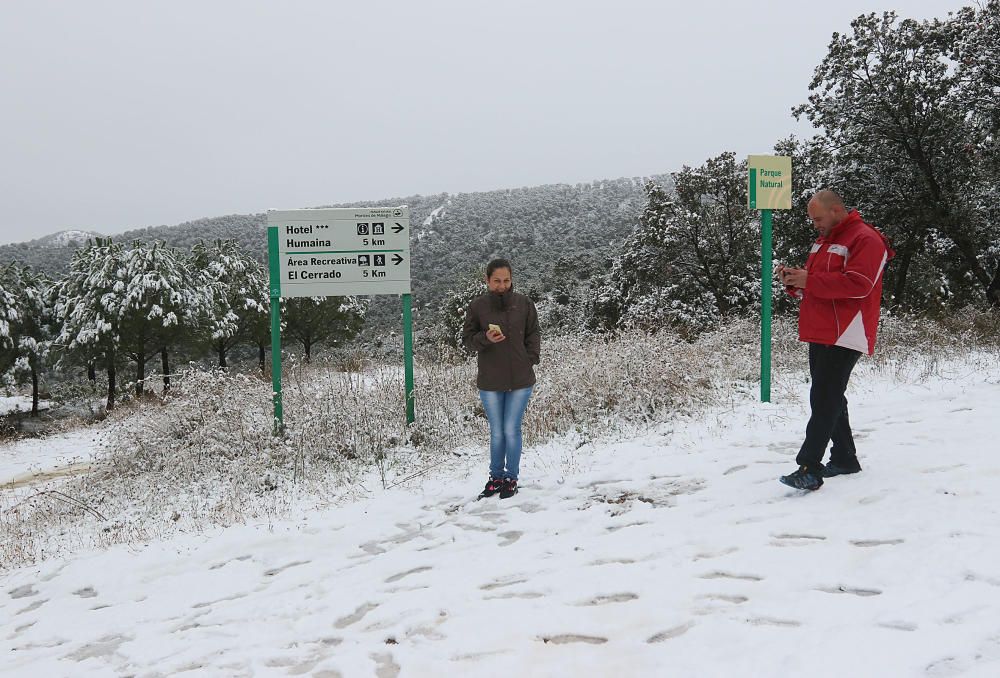 Las primeras nevadas llegan al Puerto del León, en los Montes de Málaga, que se sitúa a 900 metros de altura