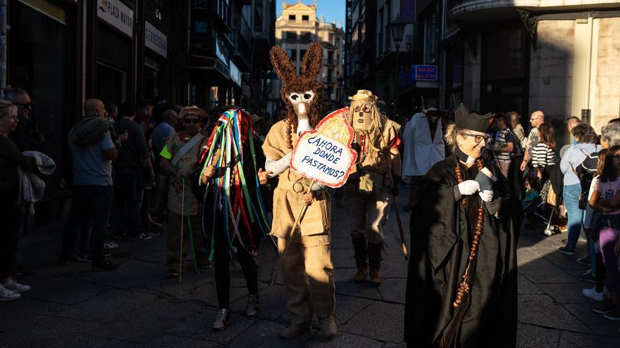 GALERÍA | Las mascaradas llenan de color y alegría el centro de Zamora