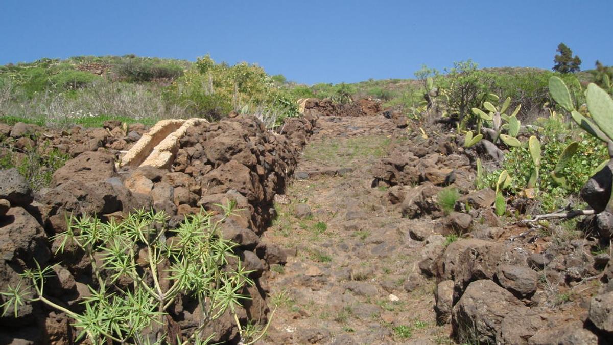 Camino de Túnez.