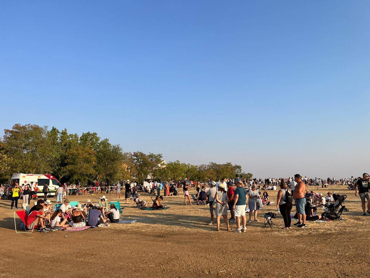 GALERÍA | Toro oscurecido con motivo del eclipse