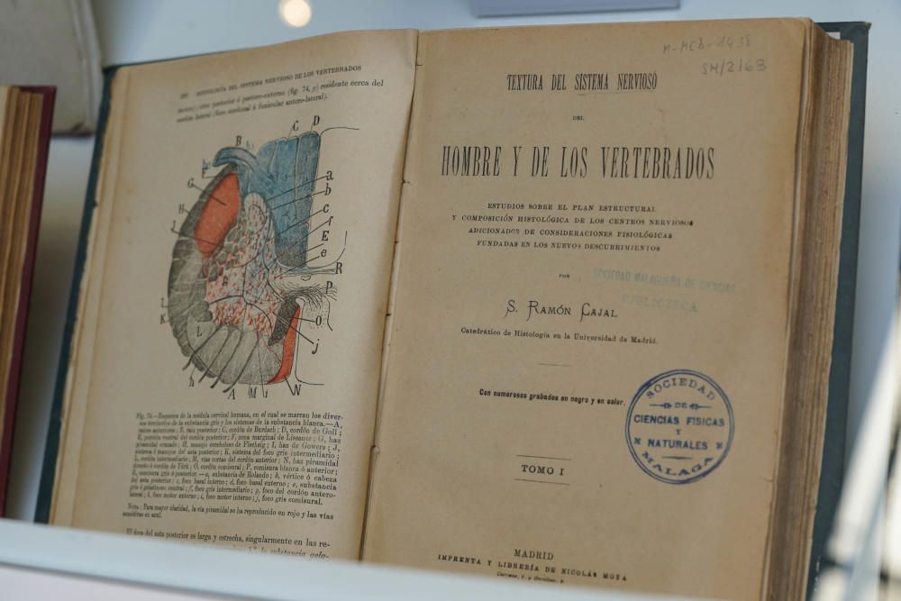 El famoso tratado de Ramón y Cajal sobre el sistema nervioso, de 1899.