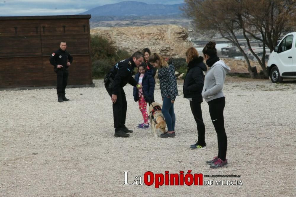 Jornada especial por San Antón en la Fortaleza del Sol de Lorca