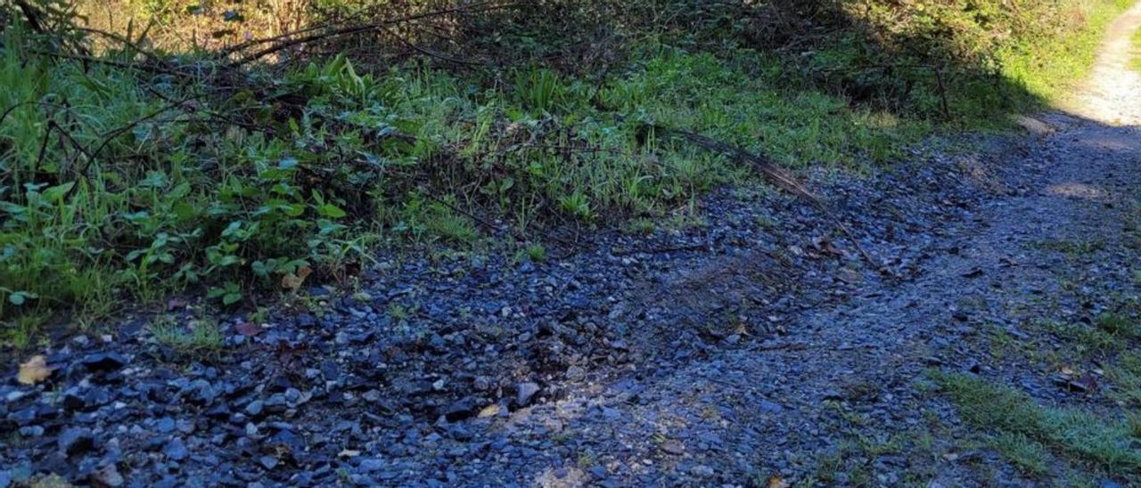 Maleza y socavones en un vial paralelo a la AP-53, en Bendoiro.