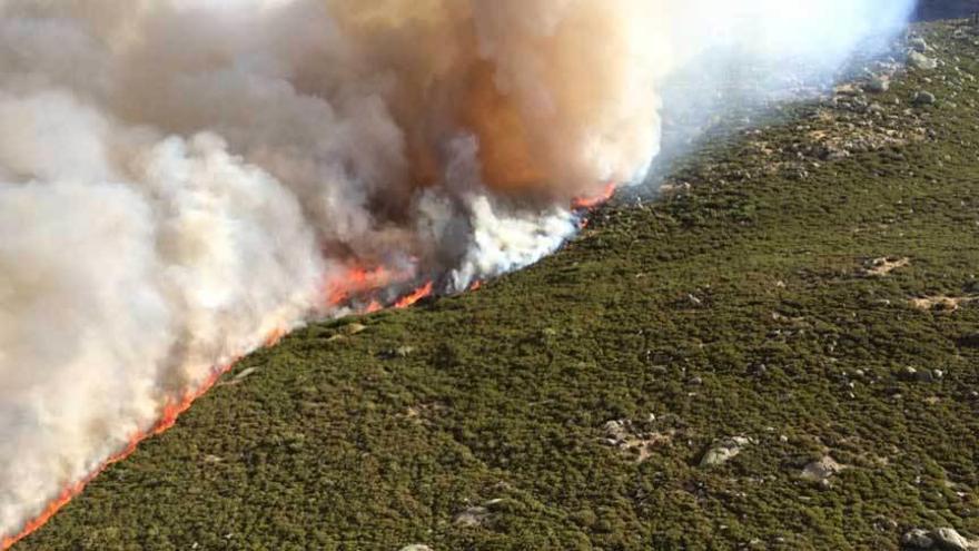 Un incendio intencionado azota el Valle del Jerte, en Cáceres