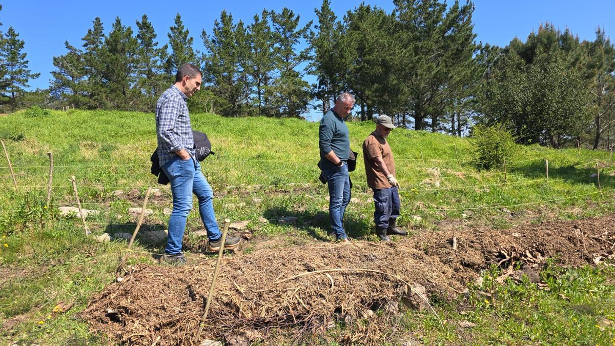 Pola esquerda, Ignacio, Víctor Reiriz e no parque periurbano de San Roque.