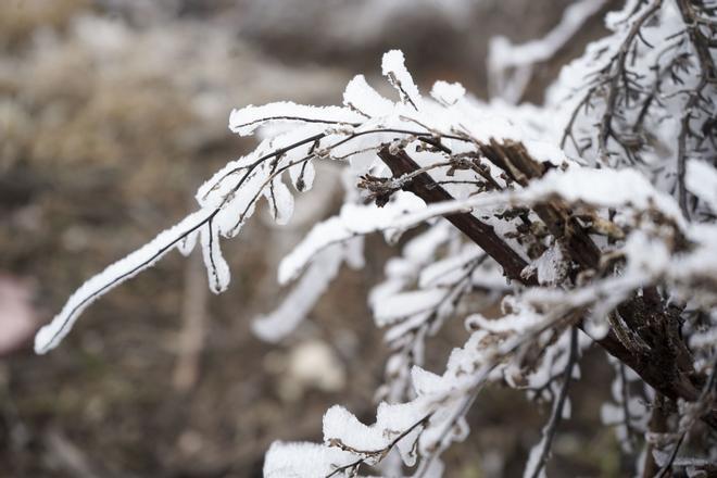 Каталония ощущает дыхание зимы: морозы и черные морозы