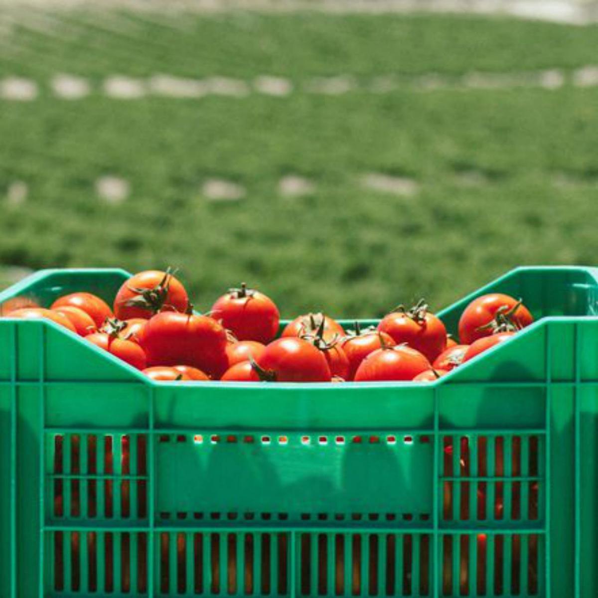 Desconfiança pels mecanismes de salvaguarda