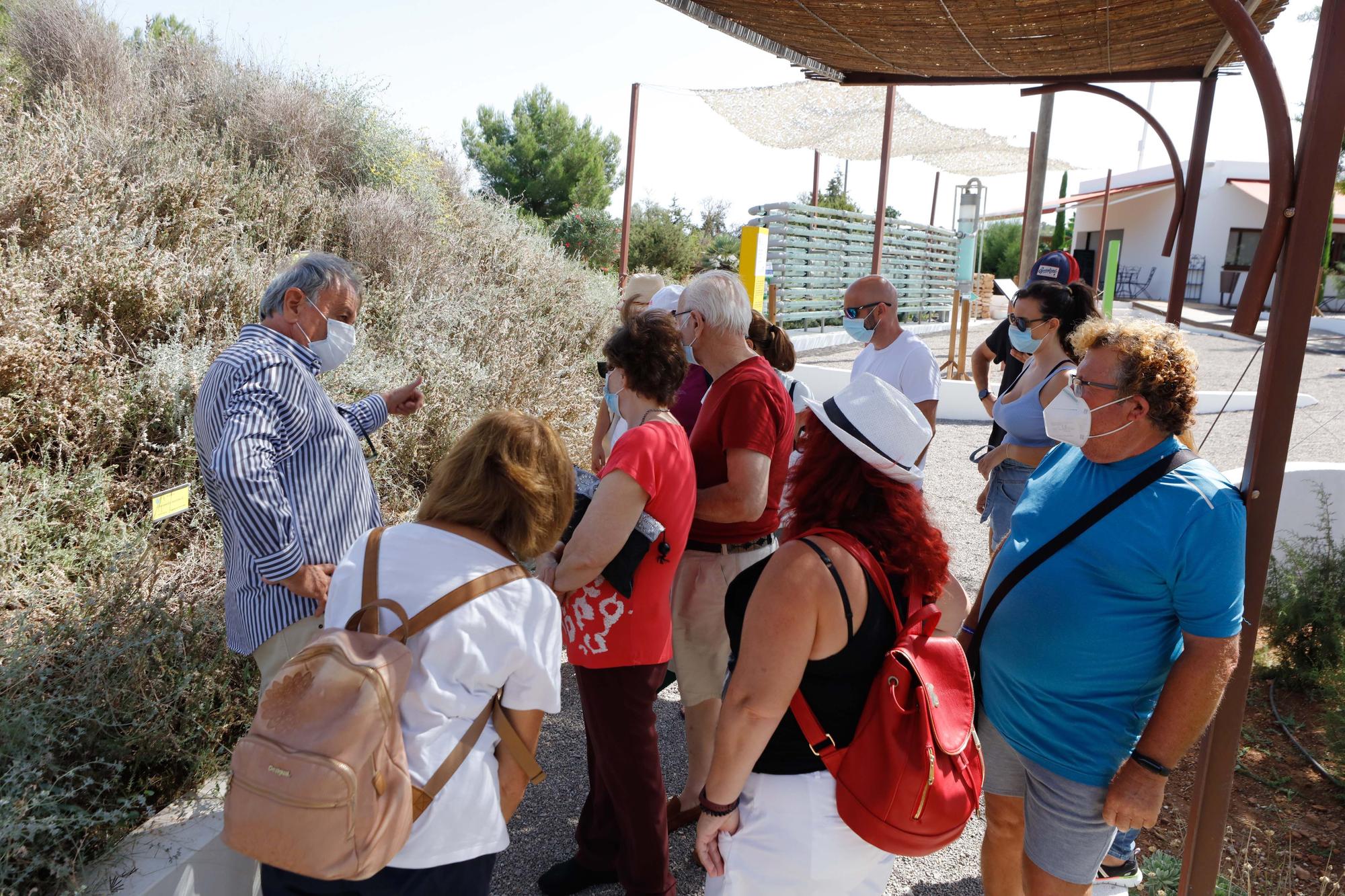 25 años de fidelidad a Ibiza