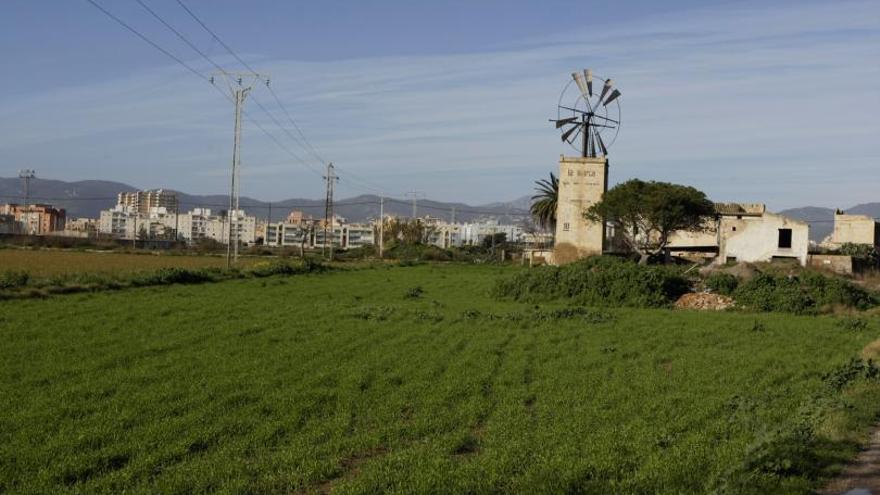 Son Bordoy, una de las pocas reservas urbanizables libres de ladrillo en Palma.  | LORENZO