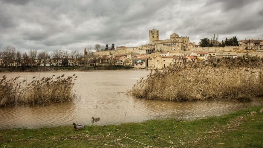 El caudal del Duero alcanza casi 400 metros cúbicos por segundo y anega parte de los paseos ribereños