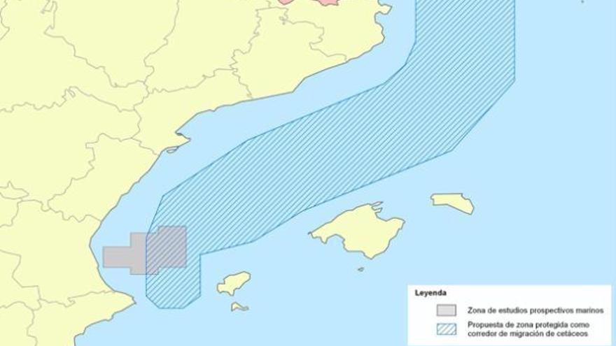 Zona propuesta como corredor protegido para cetáceos y ubicación del área de sondeos.