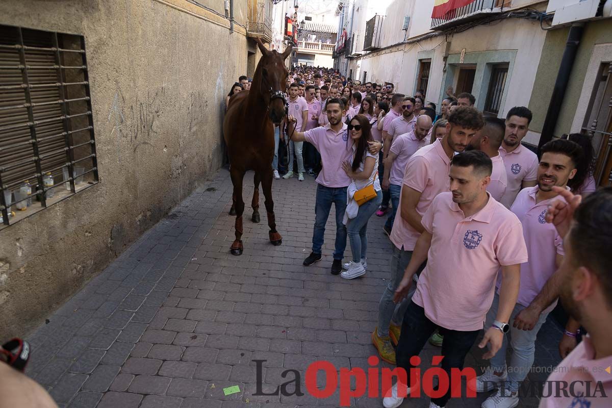 Pasacalles caballos del vino al hoyo