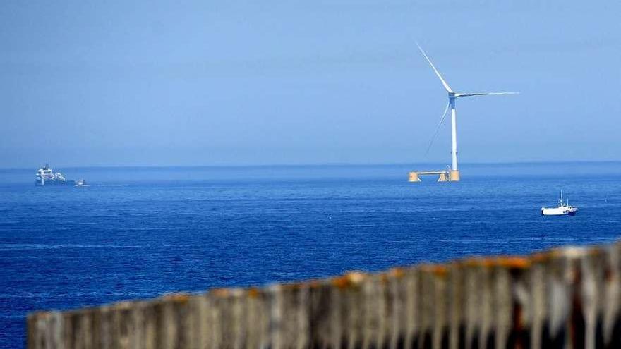 Una plataforma eólica gigante recorre la costa