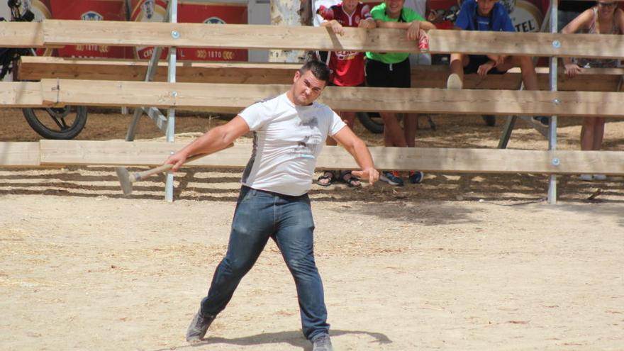 Cehegín celebra el campeonato de azada