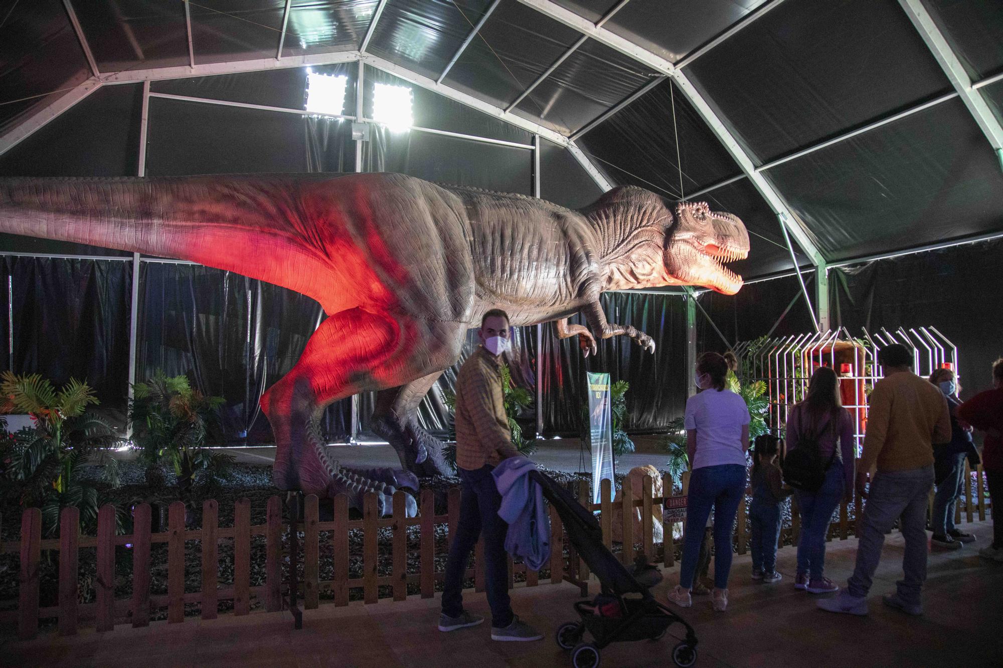 Dinosaurs Tour en Mallorca: así es la exposición de dinosaurios animatrónicos