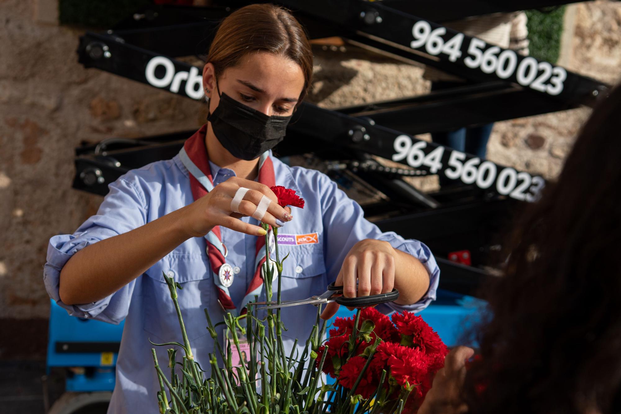 Así ha vestido Almassora el tapiz de flores en honor a Santa Quitèria