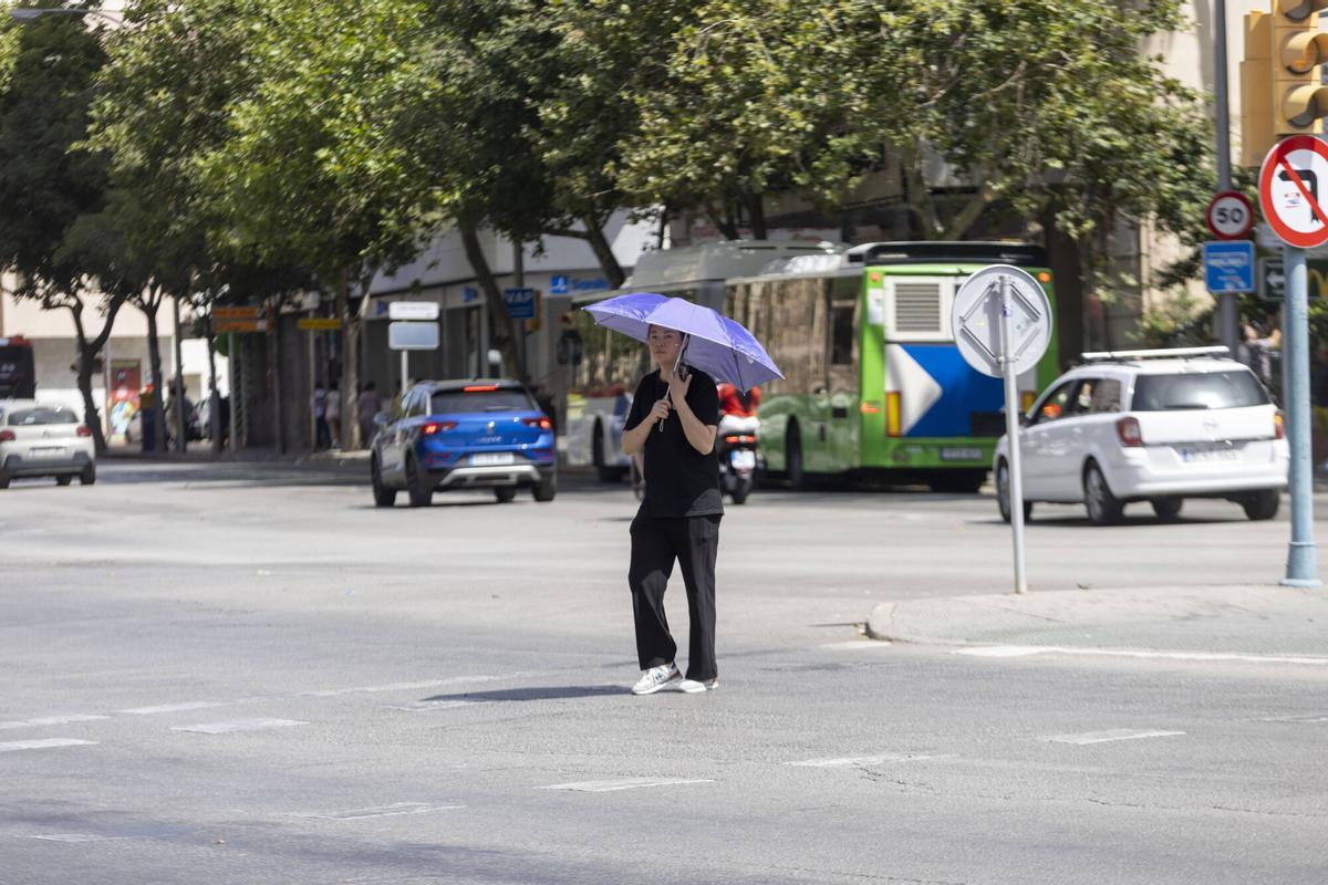 Así vive Mallorca la primera ola de calor del verano