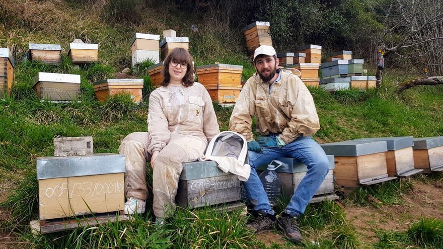 Lo más dulce de Youtube sale de Cabranes: los jóvenes apicultores de Pandenes que triunfan en la red con un canal dedicado a la miel y al cuidado de las abejas