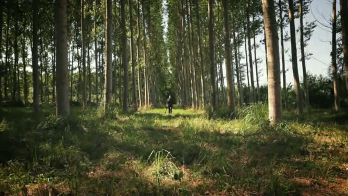 Pere Vilanova: ’La pell besa la pell’