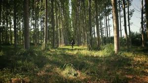 Pere Vilanova: ’La pell besa la pell’