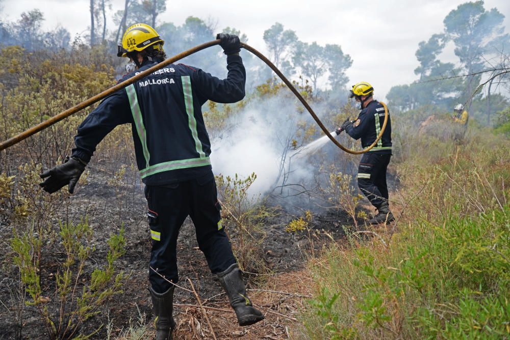 Controlado otro incendio forestal en un pinar en Marratxinet
