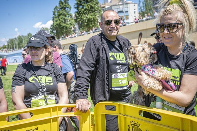 Las mejores imágenes de la Can We Run Barcelona