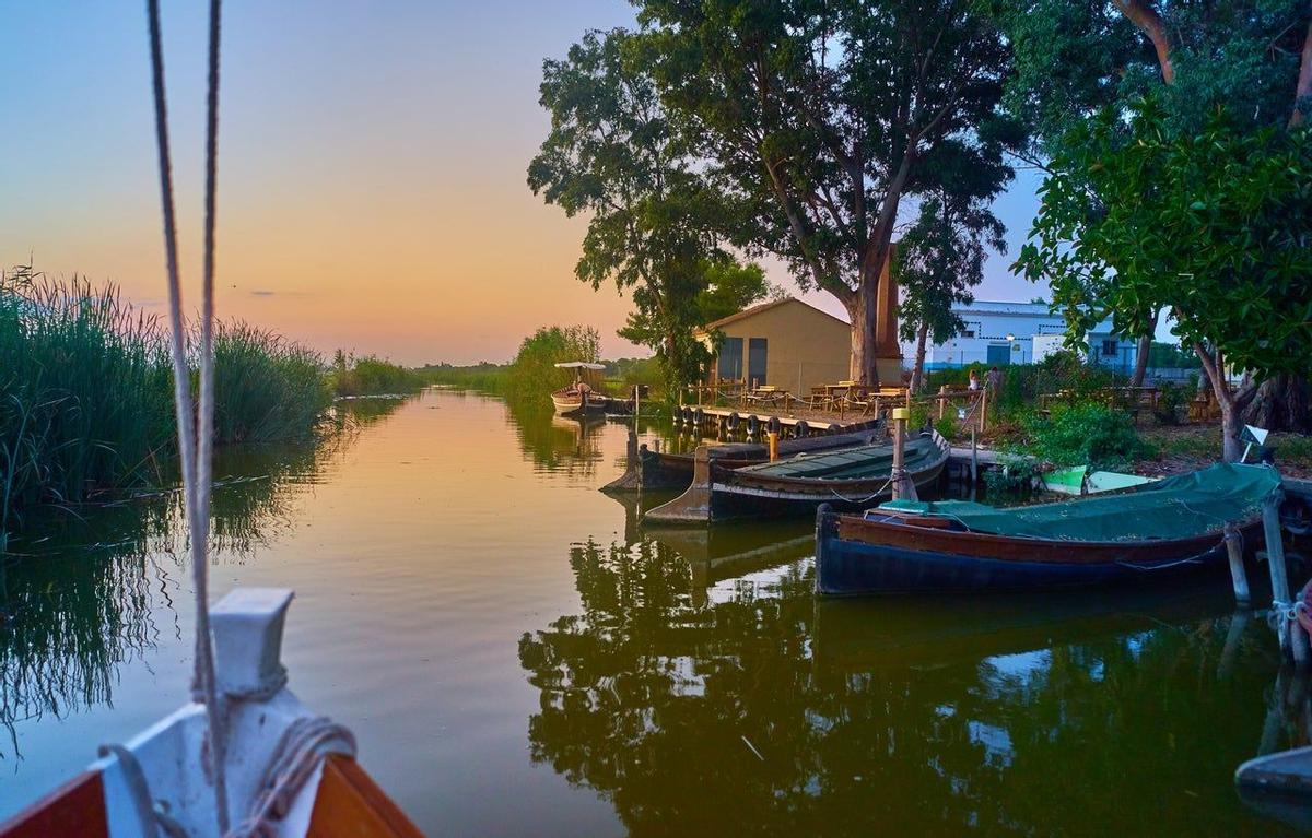 Un paseo en barca te permitirá disfrutar de La Albufera en todo su esplendor.