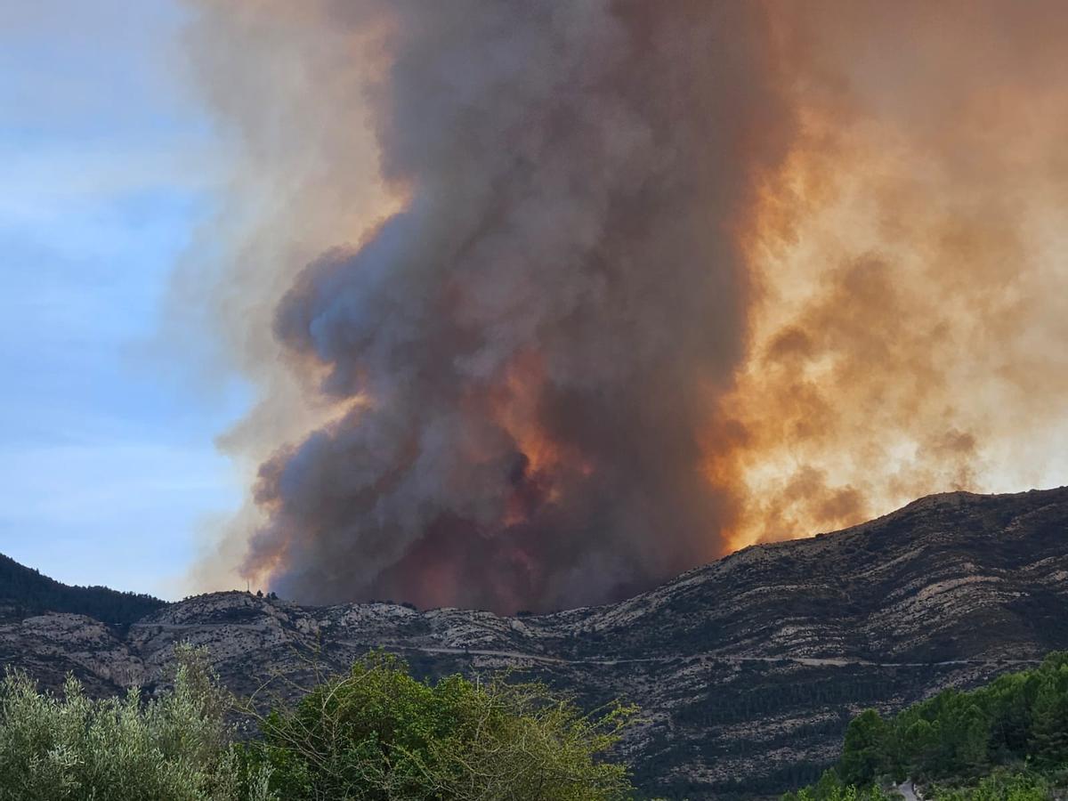 Las imágenes del incendio forestal declarado en Tàrbena